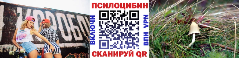 Галлюциногенные грибы мухоморы  Сорск 